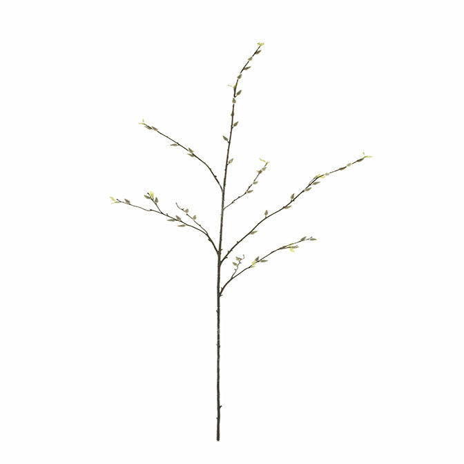 52" Pussy Willow - Green