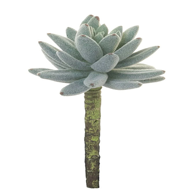 6" Succulent Stem- Flocked