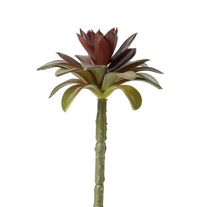 6" Succulent Flower