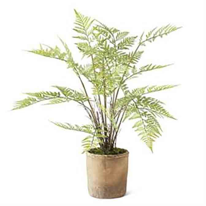 28 Inch Fern in Ceramic Pot