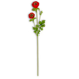 29 Inch Ranunculus Spray