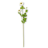 29 Inch Ranunculus Spray
