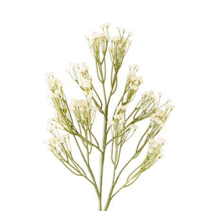 Cream Babys Breath Spray