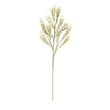 Cream Babys Breath Spray