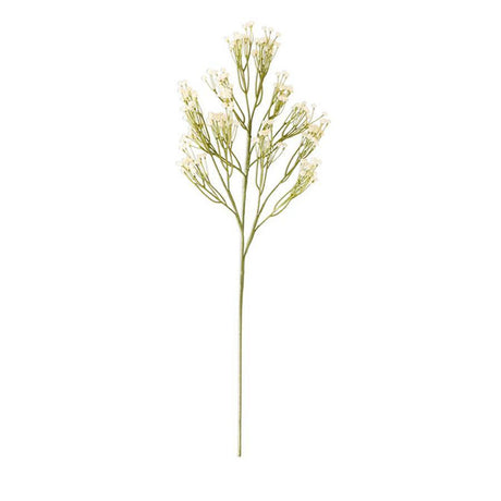 Cream Babys Breath Spray