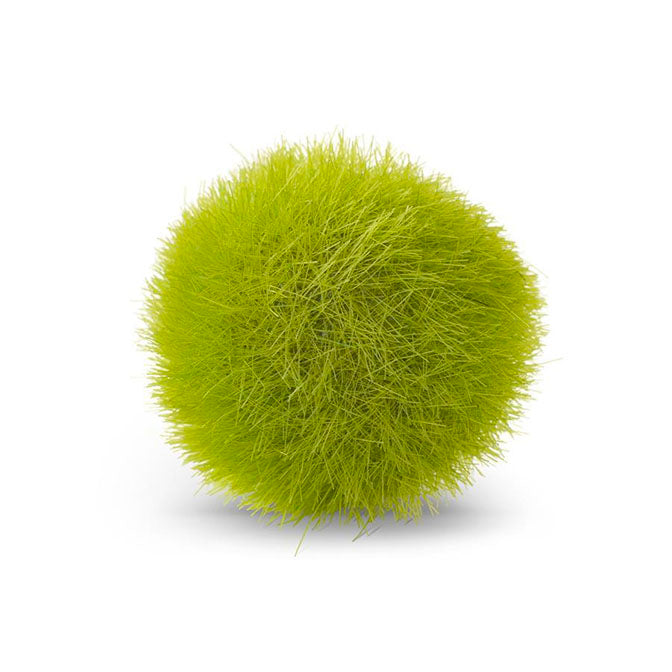 12 Pack  2 Handmade Preserved Natural Moss Ball