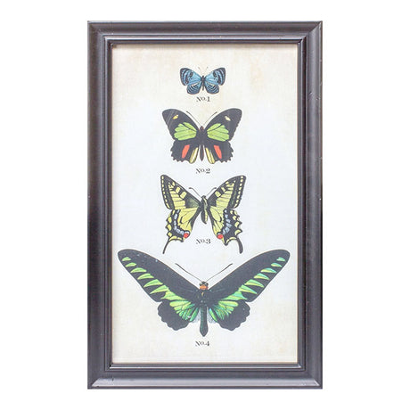 Framed Butterfly Print