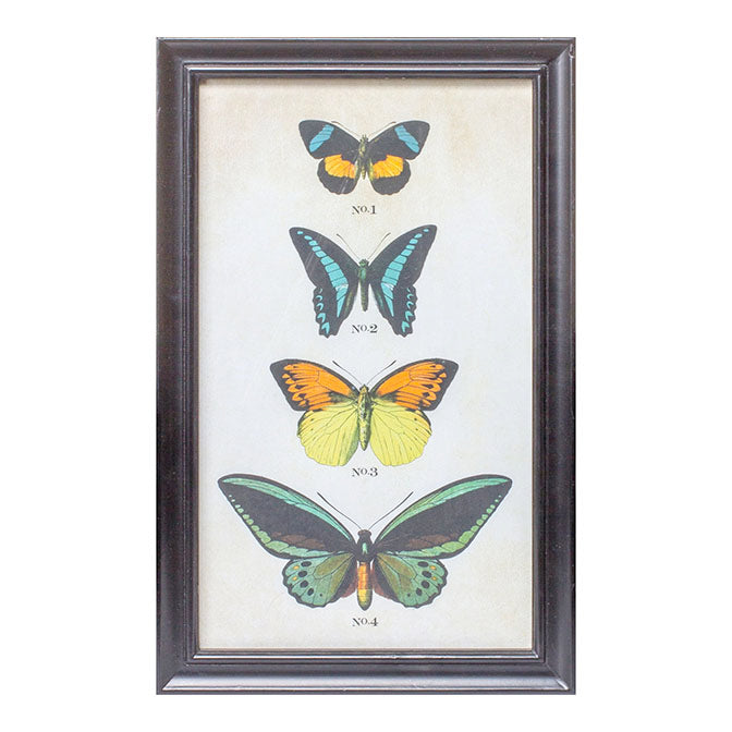 Framed Butterfly Print