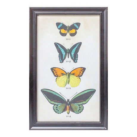 Framed Butterfly Print