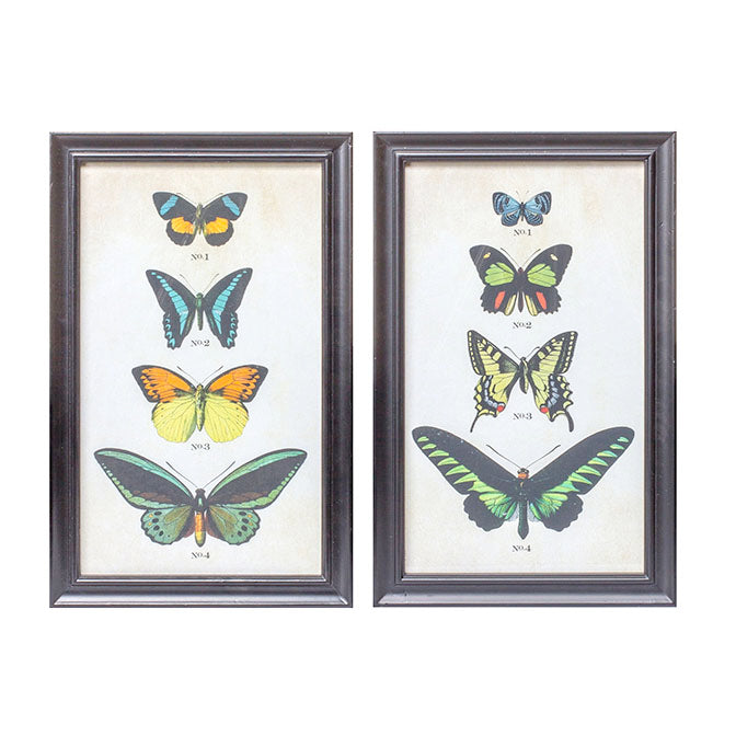 Framed Butterfly Print