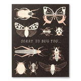 Sorry To Bug You Thank You Card