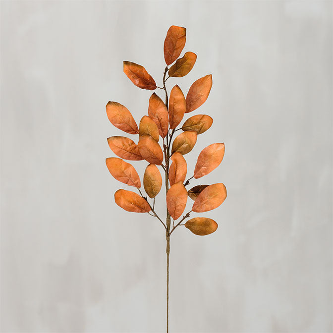 Pick Large Fall Leaves