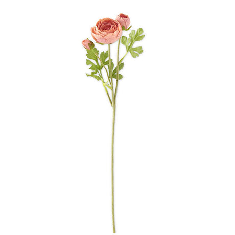 Ranunculus Coral Stem