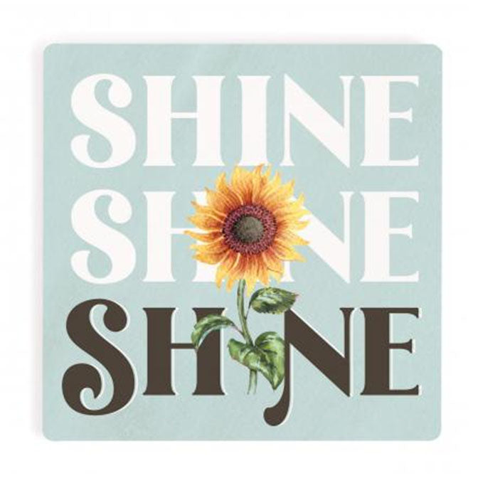 Shine, Shine, Shine, Coaster