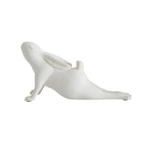 Arching Yoga Rabbit
