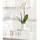 White Beaded Pedestal Trays