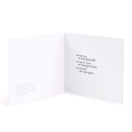 Window Plant Sympathy Card