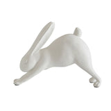 Downward Dog Yoga Rabbit