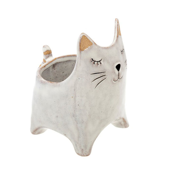 Here Kitty Pot