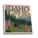 Idaho Bear and Spring Flowers