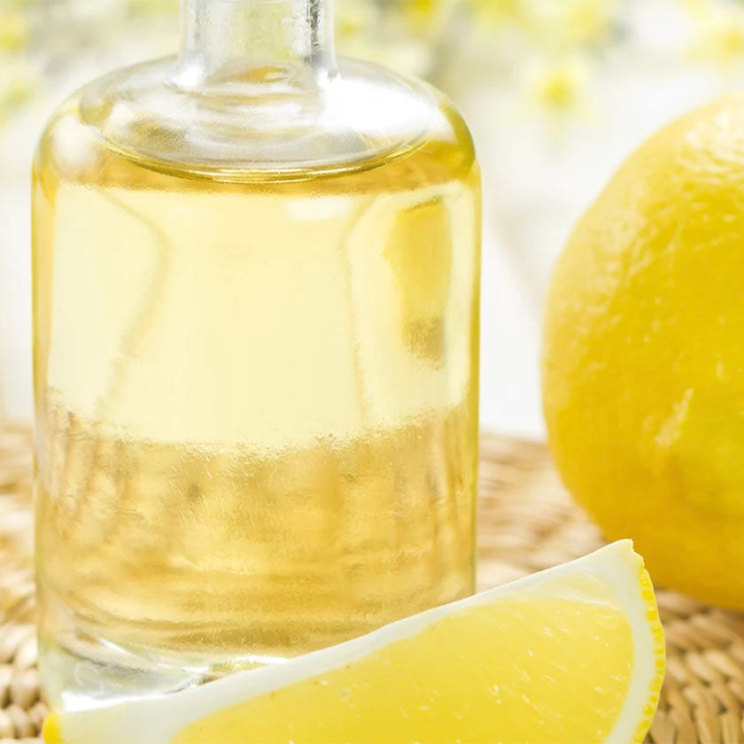 Lemon Thyme Hand Treatment Refill Pouch- 22 oz