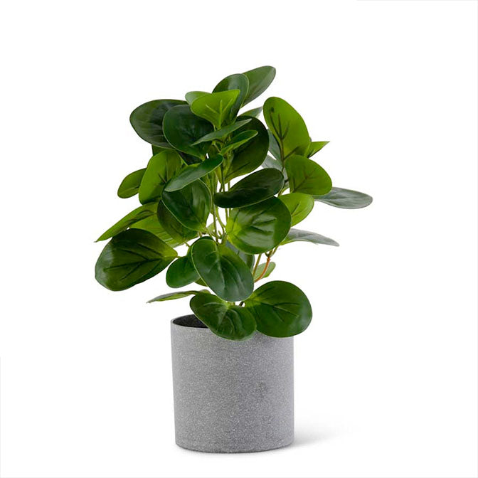 Small Watercress Foliage in Gray Speckled Pot