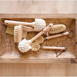 Beech Wood Dish Brush