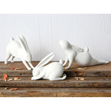 Downward Dog Yoga Rabbit