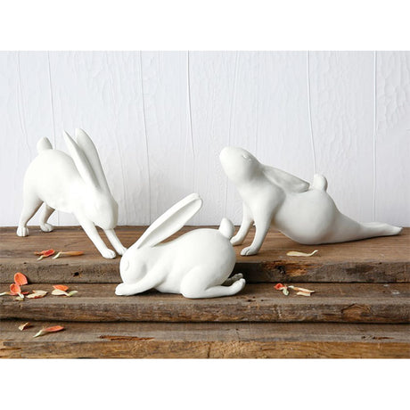 Downward Dog Yoga Rabbit