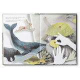 You Belong Here, by M.H. Clark