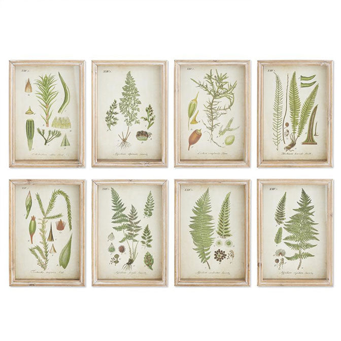 Botanical Framed Prints
