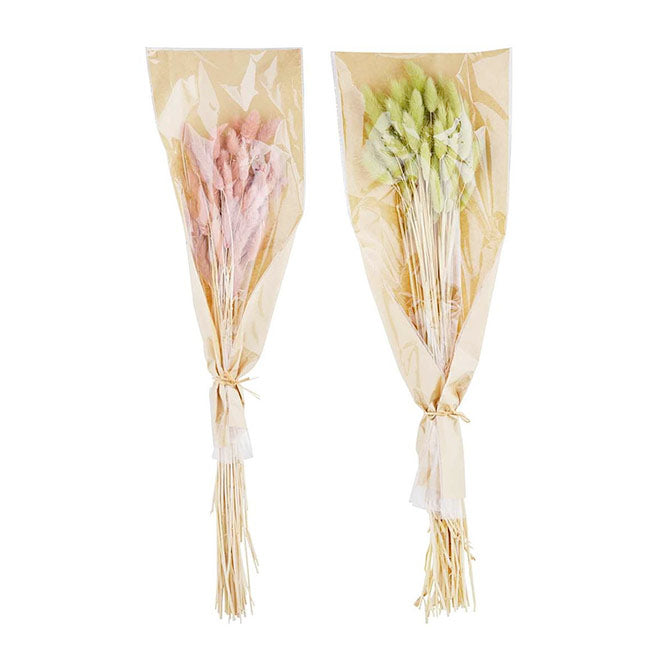 Perserved Bunnytail Stem