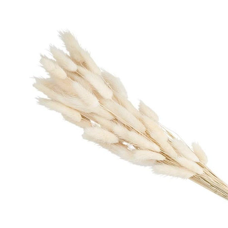 Lagrus Grass Bundle
